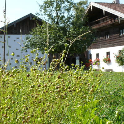 Der Bernöderhof aus Waldhausen vom Flachsfeld aus. <br> © Bezirk Oberbayern, Archiv BHM Amerang
