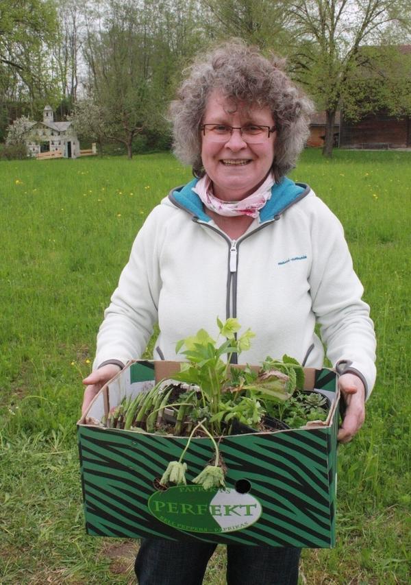 Gertrud Obermaier vom Gartenbauverein Schonstett machte eine dicke »Beute« beim Pflanzentausch.