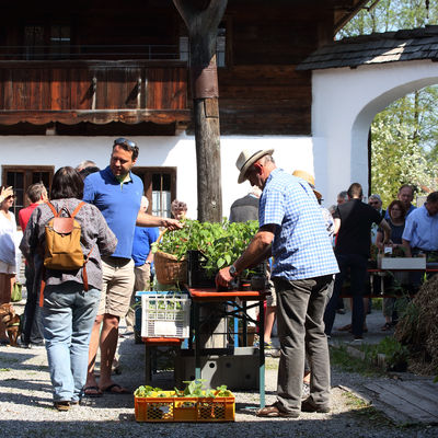 Die beliebte Tauschbrse im Vierseithof lockt viele Gartenfreunde ins Museum. <br>  Bezirk Oberbayern, Archiv BHM Amerang