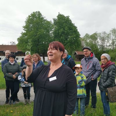 Die Kruterpdagogin Sandra Wastlhuber erlutert den Wiesenbrenklau.<br>  Bezirk Oberbayern, Archiv BHM Amerang