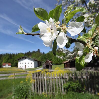 Das Bauernhausmuseum Amerang lädt ein, zum Innehalten und Entspannen inmitten der wunderbaren Natur. <br> © Bezirk Oberbayern, Archiv BHM Amerang, G. Nixdorf