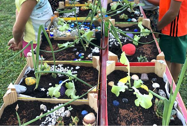 Minigarten bepflanzen